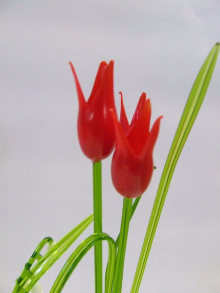 tulip glass flower